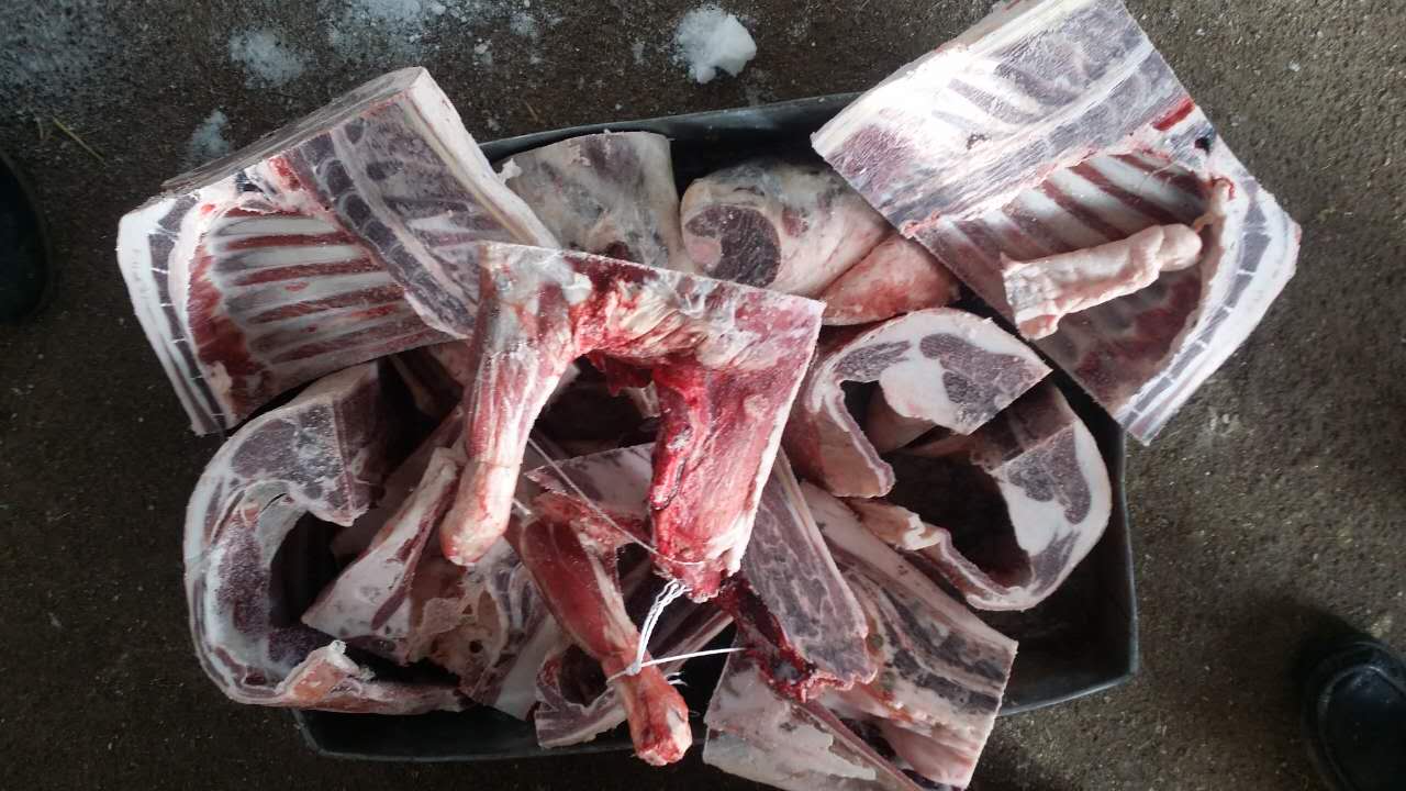 传统放养羊肉05